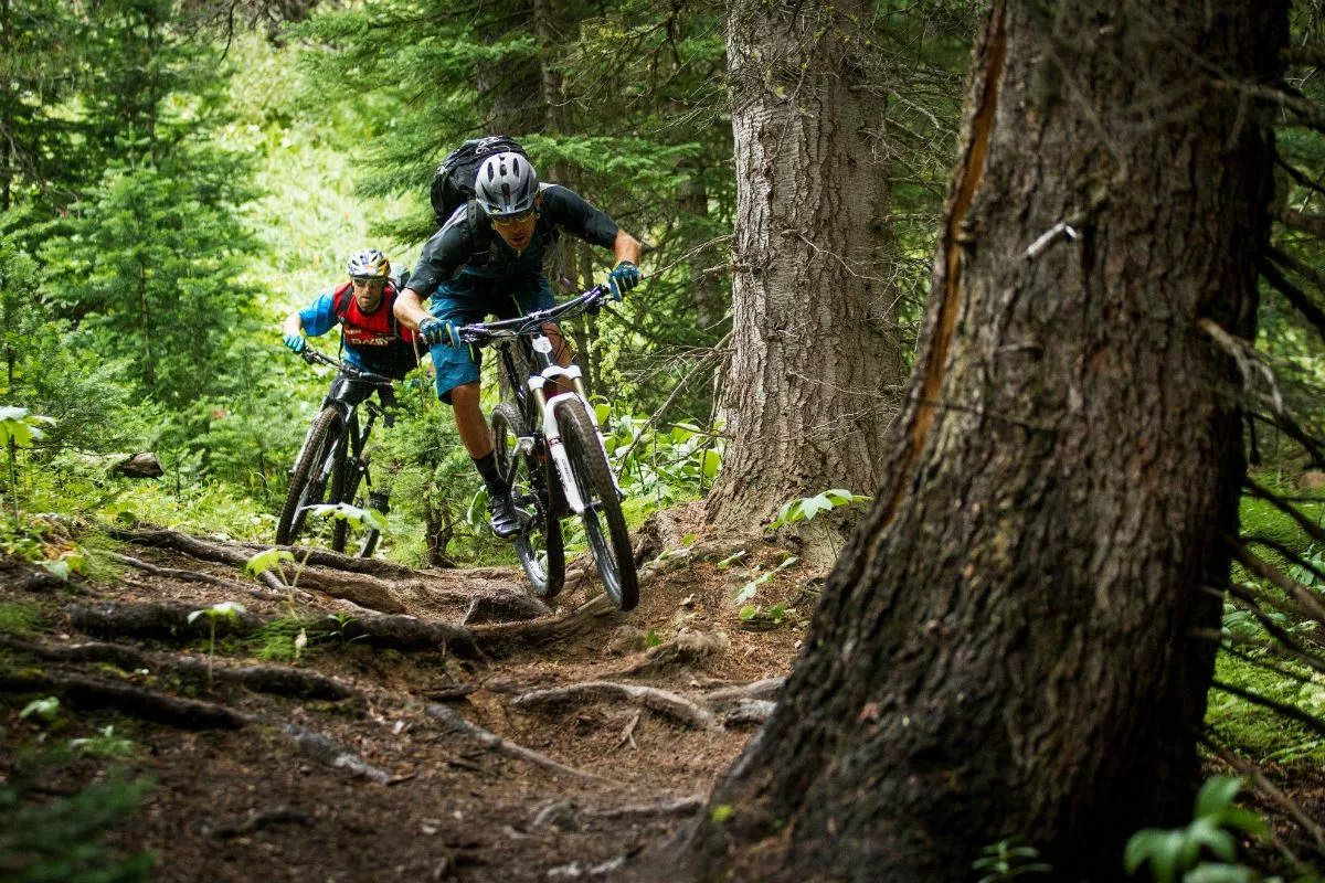 Abus Soldes 36 Abus Soldes -Abus Soldes fietshelmen koopgids 6 1200x800 1