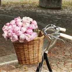 Grand Panier Sur Guidon De Vélo En Rotin Darcy L Basil 12 Grand Panier Sur Guidon De Vélo En Rotin Darcy L Basil -Abus Soldes grand panier sur guidon de velo en rotin darcy l basil full 5