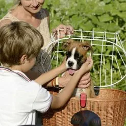 Kit Panier Vélo Chien Doggy Plus + Fixation GTA Klickfix -Abus Soldes kit panier velo chien doggy plus fixation gta klickfix full 6