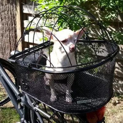 Maxxus Panier Vélo Pour Petit Chien En Acier Sur Porte Bagages 6 Maxxus Panier Vélo Pour Petit Chien En Acier Sur Porte Bagages – Image 4